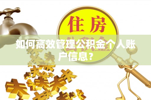 盂县如何高效管理公积金个人账户信息？