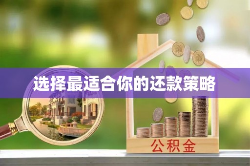 盂县选择最适合你的还款策略