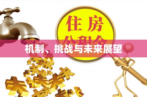 盂县机制、挑战与未来展望